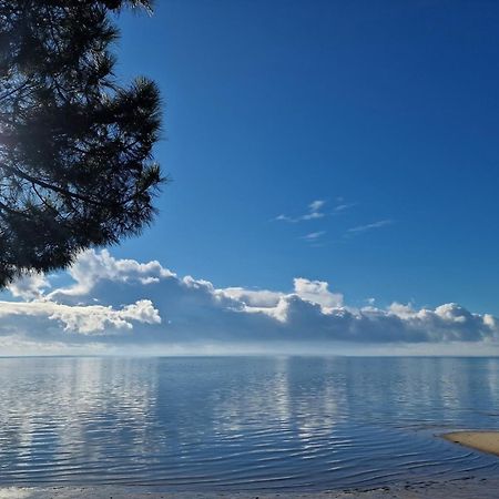 Villa Petit-Pere - A 400M De La Plage Taussat-les-Bains エクステリア 写真