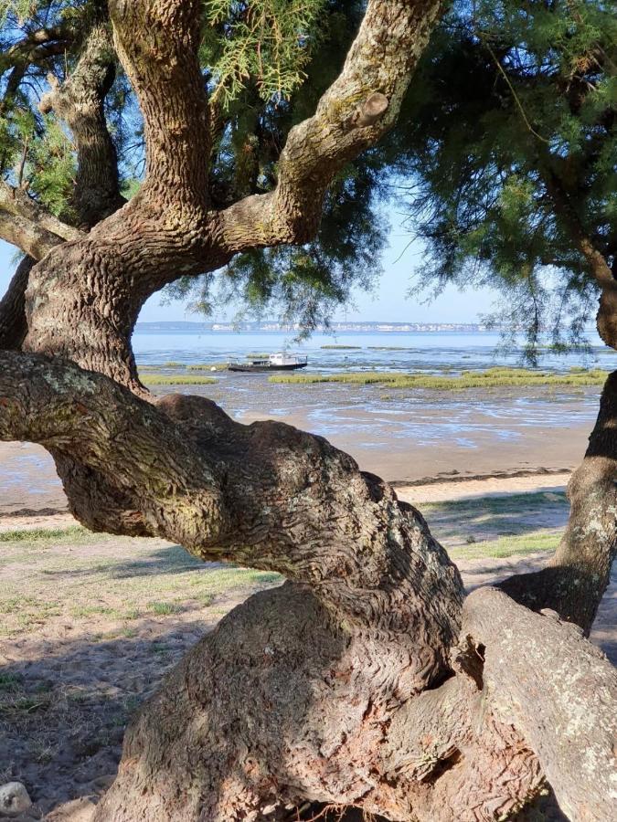 Villa Petit-Pere - A 400M De La Plage Taussat-les-Bains エクステリア 写真