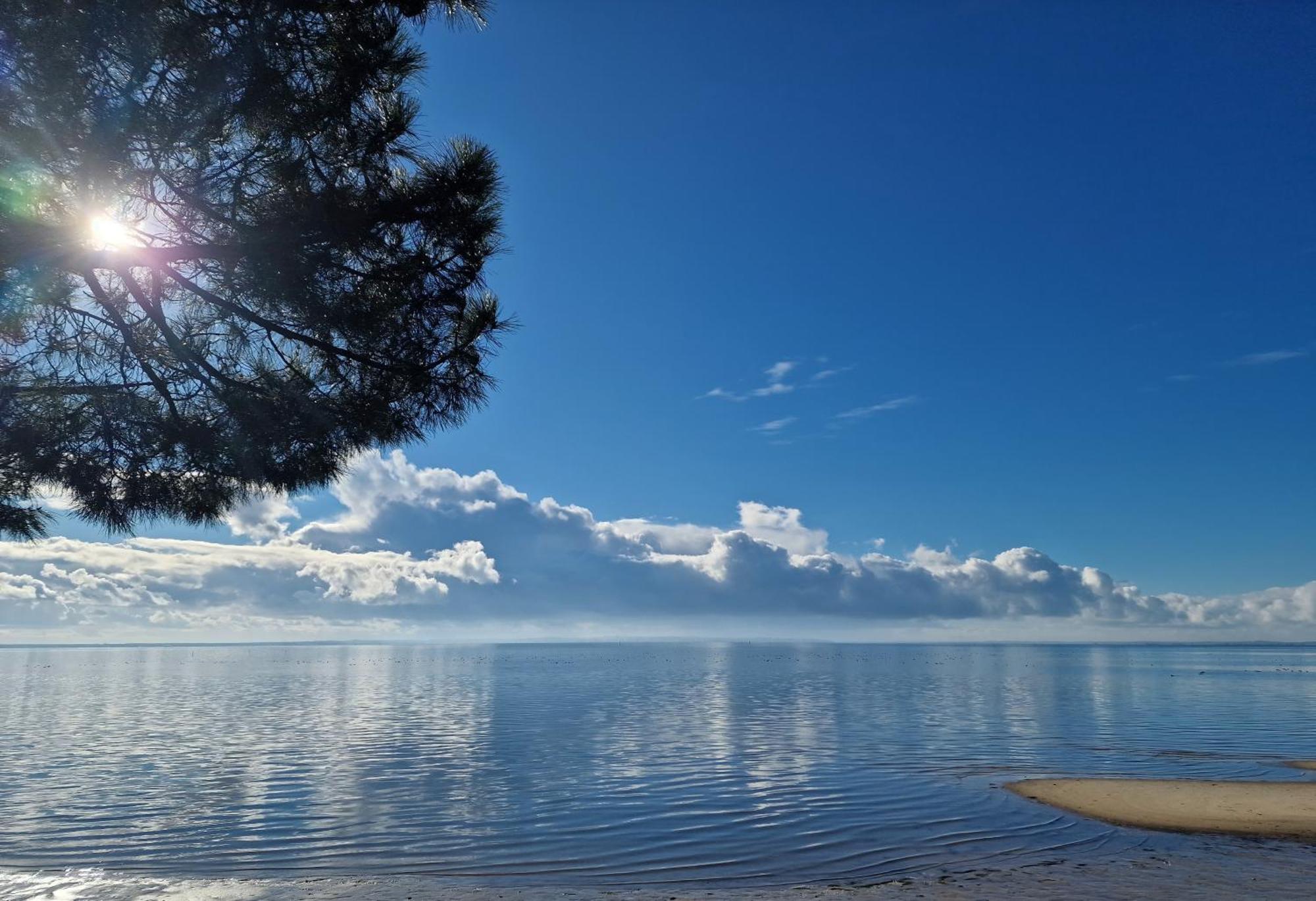 Villa Petit-Pere - A 400M De La Plage Taussat-les-Bains エクステリア 写真