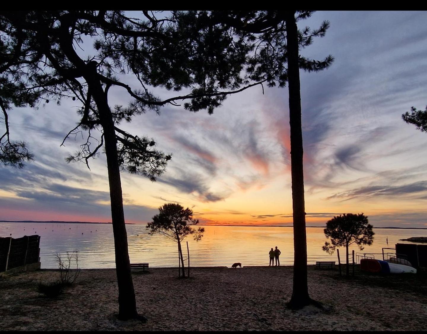 Villa Petit-Pere - A 400M De La Plage Taussat-les-Bains エクステリア 写真